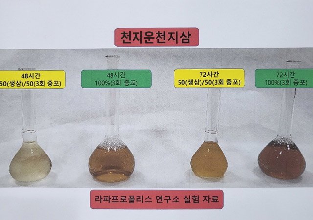 천지운산삼 성분분석